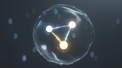 Neural Pathways to Prosperity