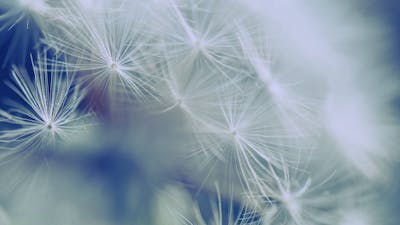 Miracles