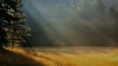 Yoga Teacher Clearing: Audio Meditation