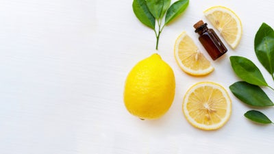 DIY Essential Oil Flea & Tick Spray