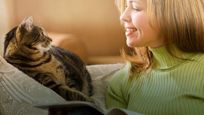 Communiquer avec les animaux