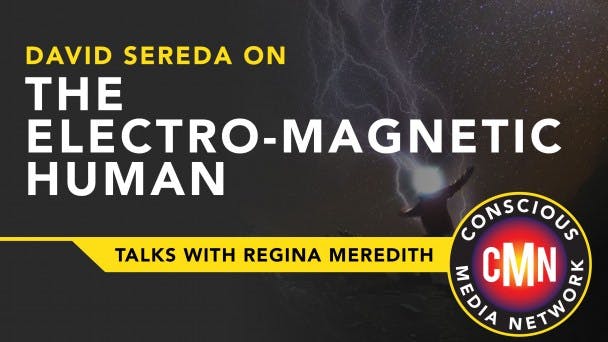 David Sereda on the Electro-Magnetic Human