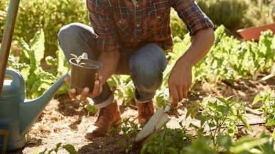 Timing is Everything