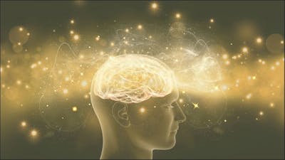 Achieving Golden Consciousness with Lee Harris