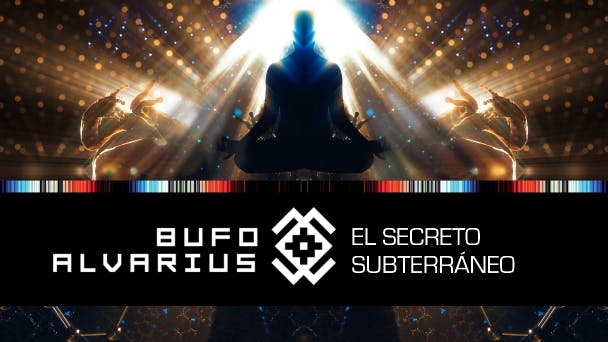Bufo Alvarius: El Secreto Subterráneo