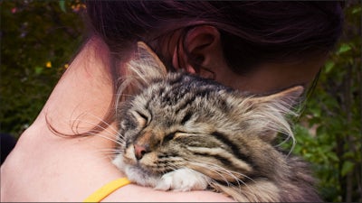 Sacred Bond between Animals and Humans