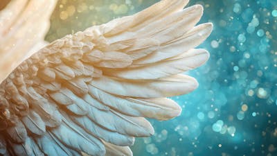 Dein Schutzengel: Meistere dein Leben 