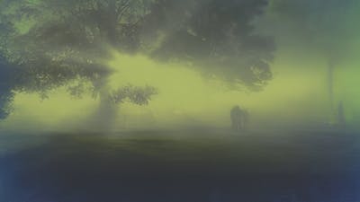 Bosque de Rendlesham: tres noches extrañas