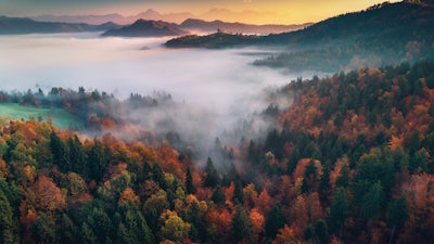 Inner Peace - Meditation 