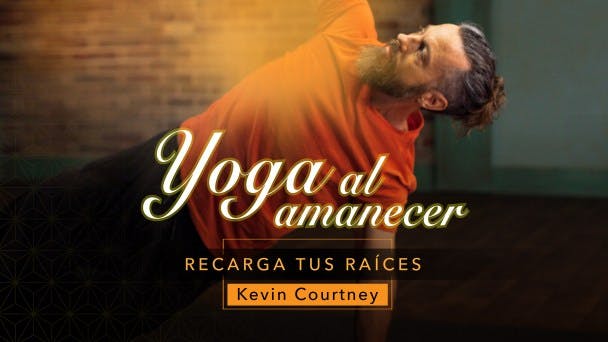 Recarga tus Raíces