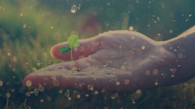 Lynne Twist on Your Role in a Sustainable Future