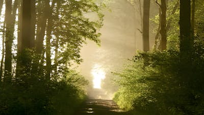 El Camino Después de la Vida