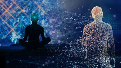 Evolution in a Virtual Reality with Tom Campbell