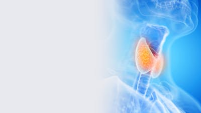 Iodine and the Thyroid