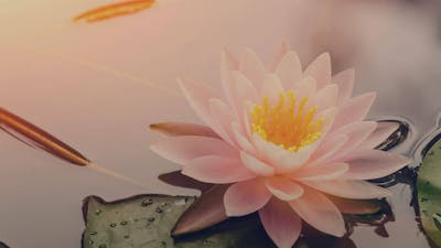 Decoding Karma with Joe Nunziata