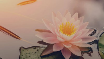 Decoding Karma with Joe Nunziata