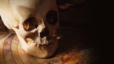 The Mysterious Origins of Man