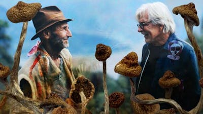 Descendiendo la montaña