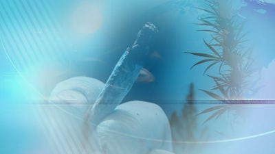 Federal Cannabis Decriminalization