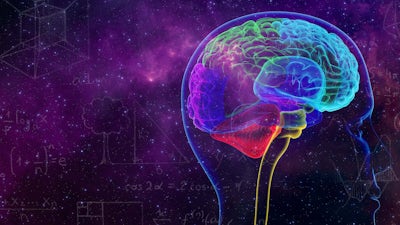 Nutze das Potential der Neuroplastizität