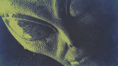 Detailing the Government's Alien Taxonomy