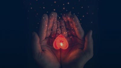 Open Your Heart with Mark Nepo