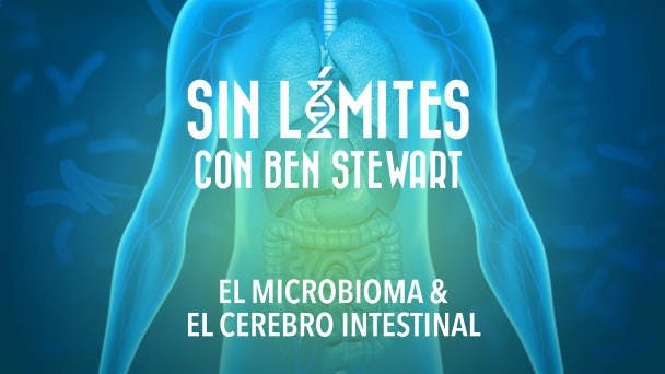 El microbioma & el cerebro intestinal