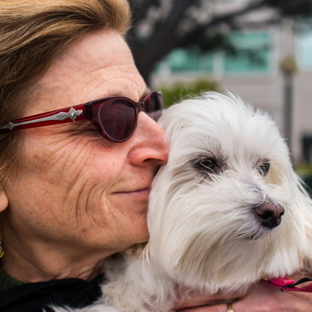 teacher avatar image