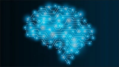 Reprogramming Your Mind