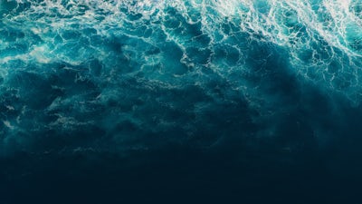 Dankbarkeit offenbart