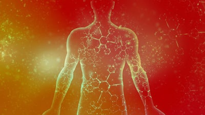 Die Kraft in dir: Der Körper als Ursprung