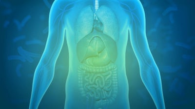 Le microbiome et l'axe intestin-cerveau