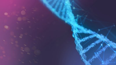 Session 4: New Discoveries: We’re Not What We’ve Been Told