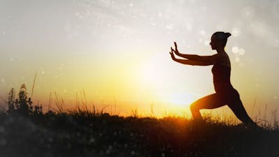 Chi for Life with Effie Chow