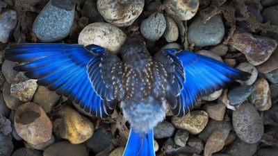 Disipando dudas de la vida después de la muerte