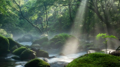 A Practice of Authentic Prayer