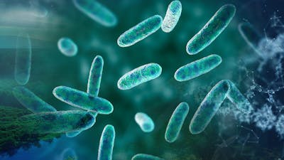 Pratique : L’art de cultiver sa planète intérieure