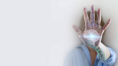 Understanding the Human Experience