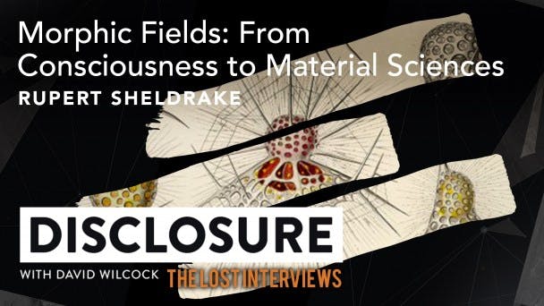 Morphic Fields: From Consciousness to Material Sciences with Rupert Sheldrake
