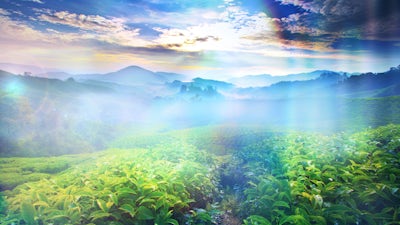 Ariel: el superhombre encarnado