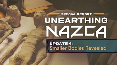Update 4: Smaller Bodies Revealed