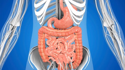 What's Up with Your Gut? with Edward Group