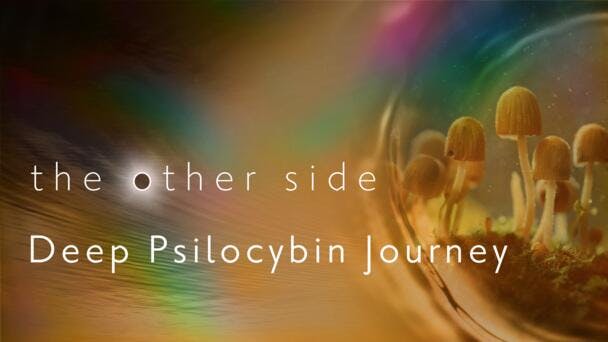Deep Psilocybin Journey