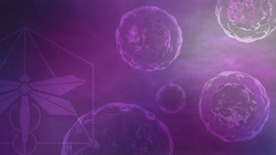 Stem Cell Secrets