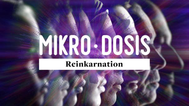 Reinkarnation
