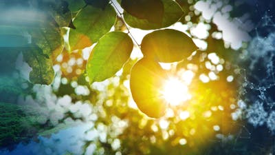 Pratique du Bonheur Intérieur Brut