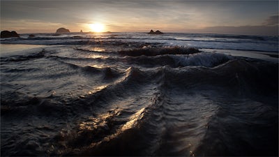 Turning Towards the Light