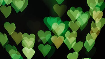 Love and Fear