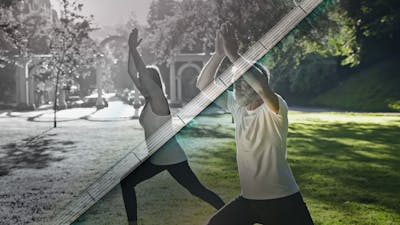 Longevity Innovation