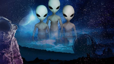 La primera orden de los grises